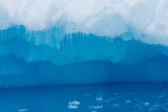 Antarctica - 16