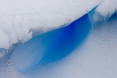 Antarctica - 19