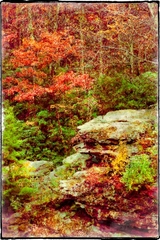 Babcock State Park, WV - 05