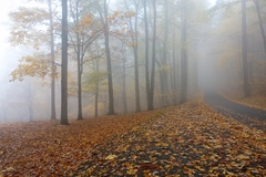 Babcock State Park, WV - 06