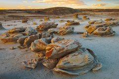 Bisti De Na Zin Wilderness, NM - 04