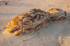 Bisti De Na Zin Wilderness, NM - 10