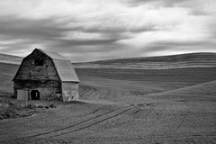 Palouse, WA - 03