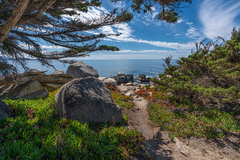 17 Mile Drive, Monterey County - 01