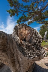 17 Mile Drive, Monterey County - 07