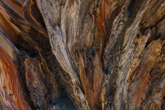 Eastern Sierra, CA - 06