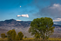 Eastern Sierra, CA - 11