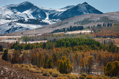 Eastern Sierra, CA - 12