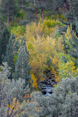 Eastern Sierra, CA - 16