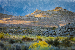 Eastern Sierra, CA - 21