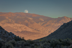 Eastern Sierra, CA - 22