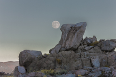 Eastern Sierra, CA - 23