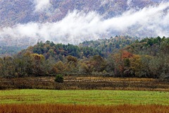 Great Smoky Mountains, TN and NC - 11