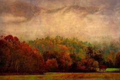 Great Smoky Mountains, TN and NC - 12