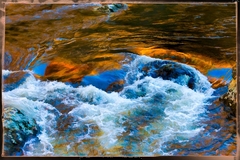 Great Smoky Mountains, TN and NC - 17