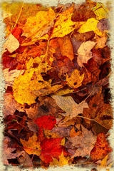 Great Smoky Mountains, TN and NC - 23