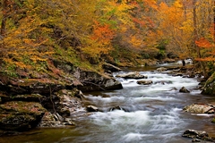 Great Smoky Mountains, TN and NC - 34
