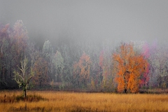 Great Smoky Mountains, TN and NC - 38
