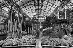 Longwood Gardens, Kennett Square, PA - 02