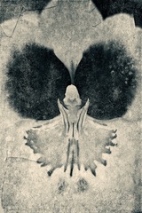 Longwood Gardens, Kennett Square, PA - 06