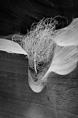 Lower Antelope Canyon, Page, AZ - 08