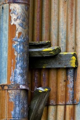 My Small World Macrophotography - 05