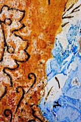 My Small World Macrophotography - 06