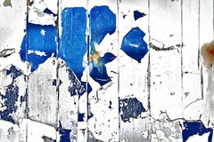 My Small World Macrophotography - 08