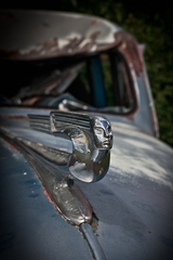 My Small World Macrophotography - 09