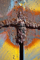 My Small World Macrophotography - 10