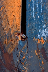 My Small World Macrophotography - 11