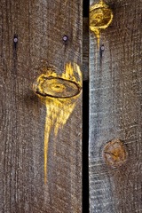 My Small World Macrophotography - 12