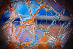 My Small World Macrophotography - 13