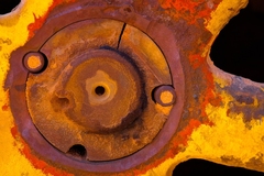 My Small World Macrophotography - 14