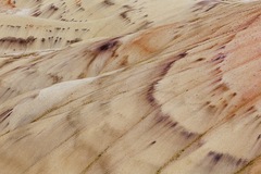 Painted Hills, Eastern OR - 03