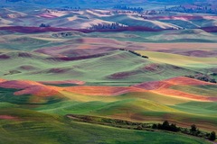 Palouse, WA - 03