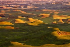 Palouse, WA - 04