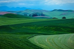 Palouse, WA - 15