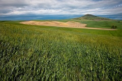 Palouse, WA - 17