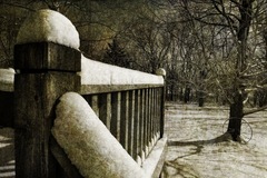 Potpourri Of Images - 05